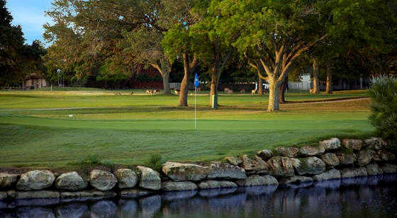 Golf course scenery